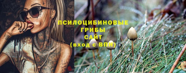 прущие грибы Нефтегорск