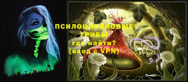 тгк Алексеевка