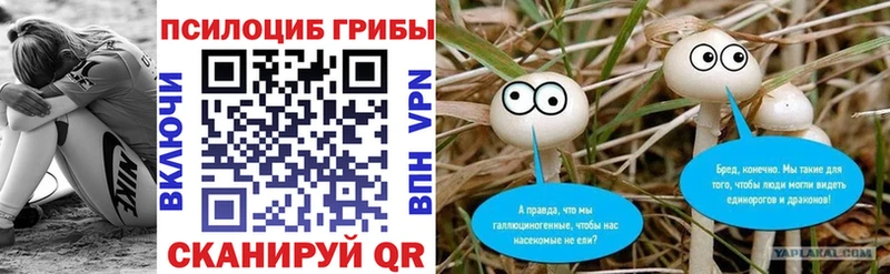 mega tor Вологда Галлюциногенные грибы прущие грибы наркота