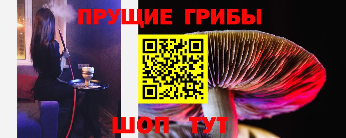 Вологда  Псилоцибиновые грибы Cubensis  Вход с VPN 